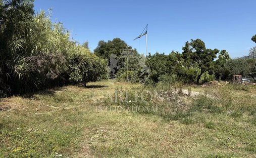 Land in Gassin, Provence-Alpes-Côte d'Azur, France 1