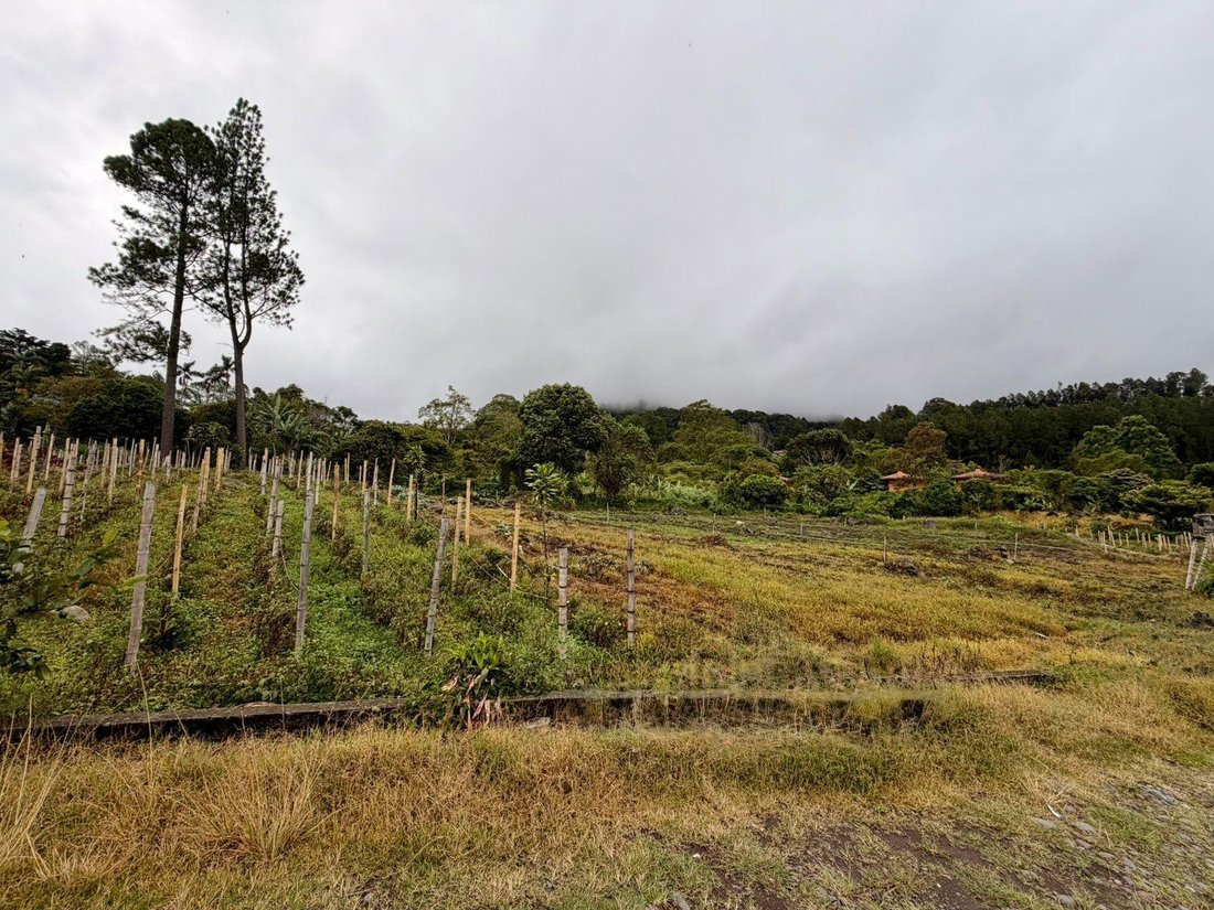 Land in Los Naranjos, Chiriquí Province, Panama 5 - 18644153
