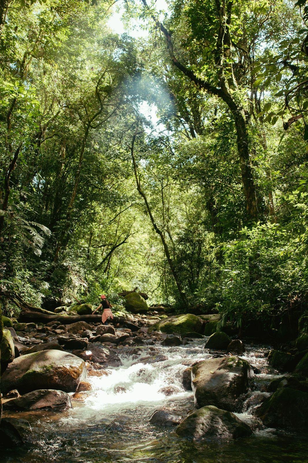 Land in Paso Ancho, Chiriquí Province, Panama 2 - 18644253