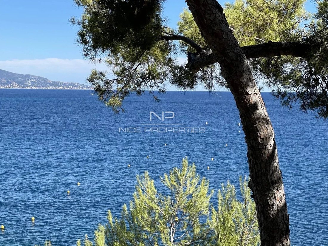 Villa in French Riviera, Provence-Alpes-Côte d'Azur, France 1 - 18647575