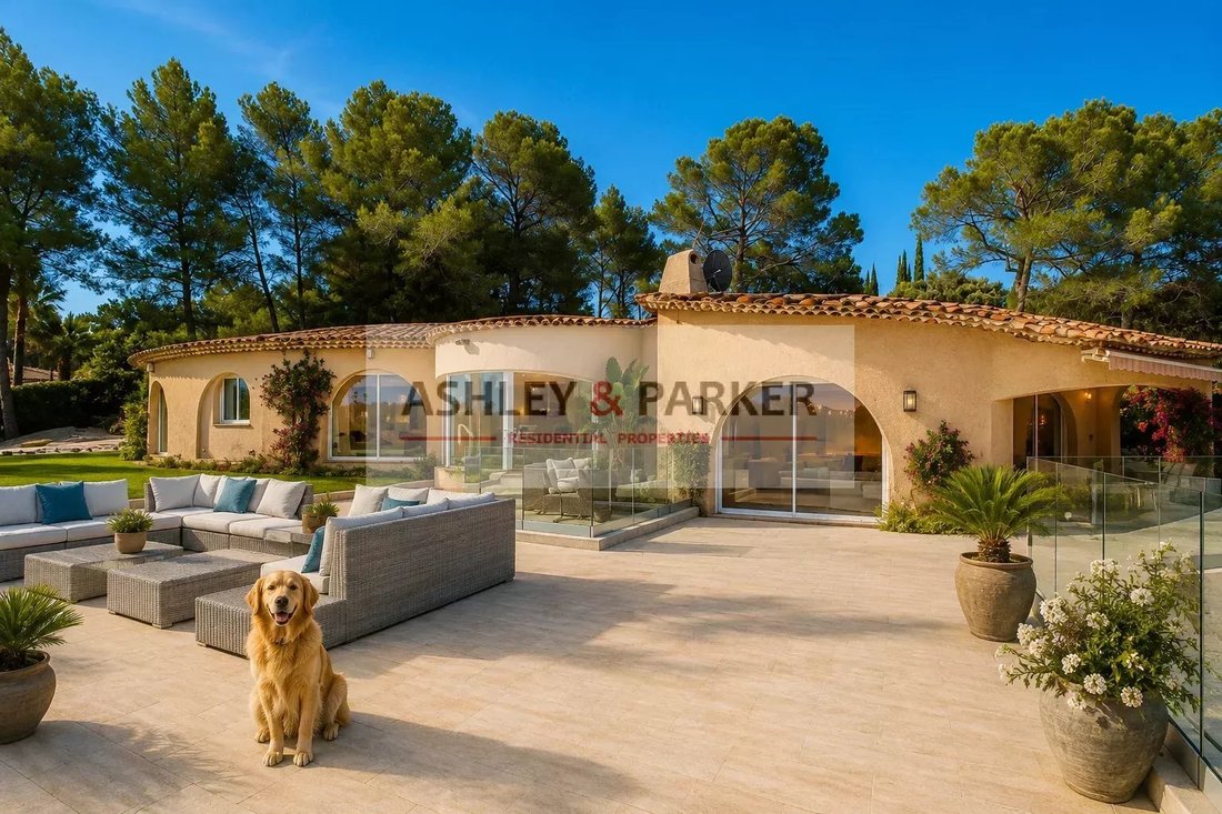 Villa in Grand'Piece-Les Plaines, Mouans-Sartoux, France 3 - 16132114