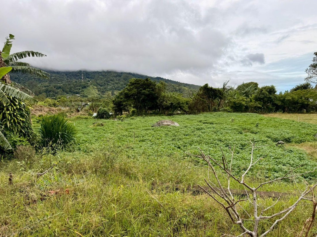 Land in Los Naranjos, Chiriquí Province, Panama 4 - 18644149