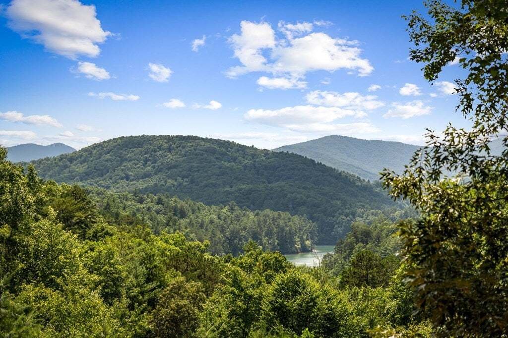 House in Morganton, Georgia, United States 3 - 18643654