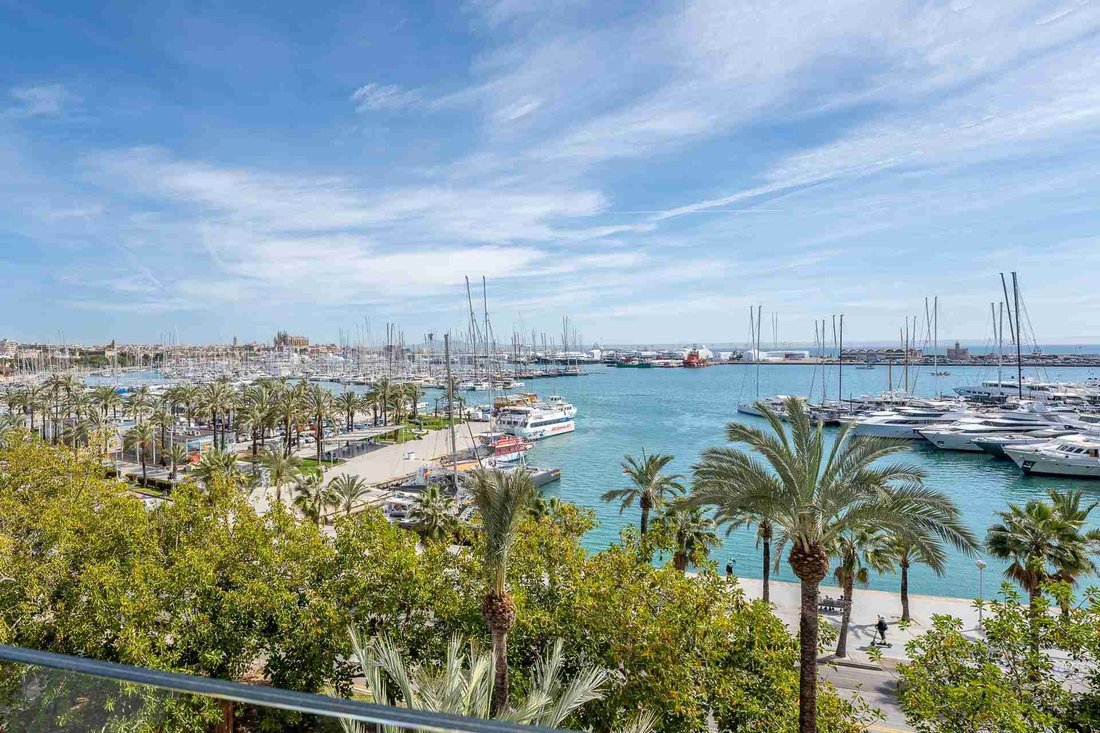 Apartment in Palma, Balearic Islands, Spain 4 - 18645878