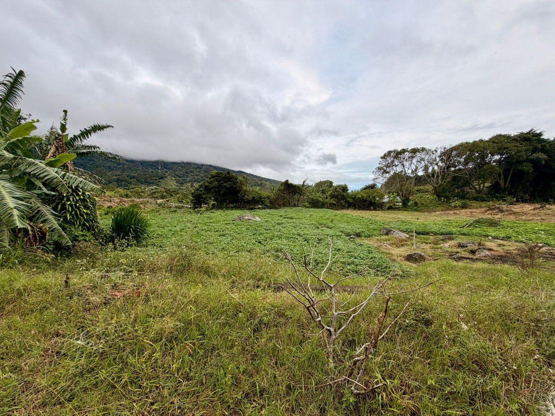 Land in Los Naranjos, Chiriquí Province, Panama 3 - 18644149
