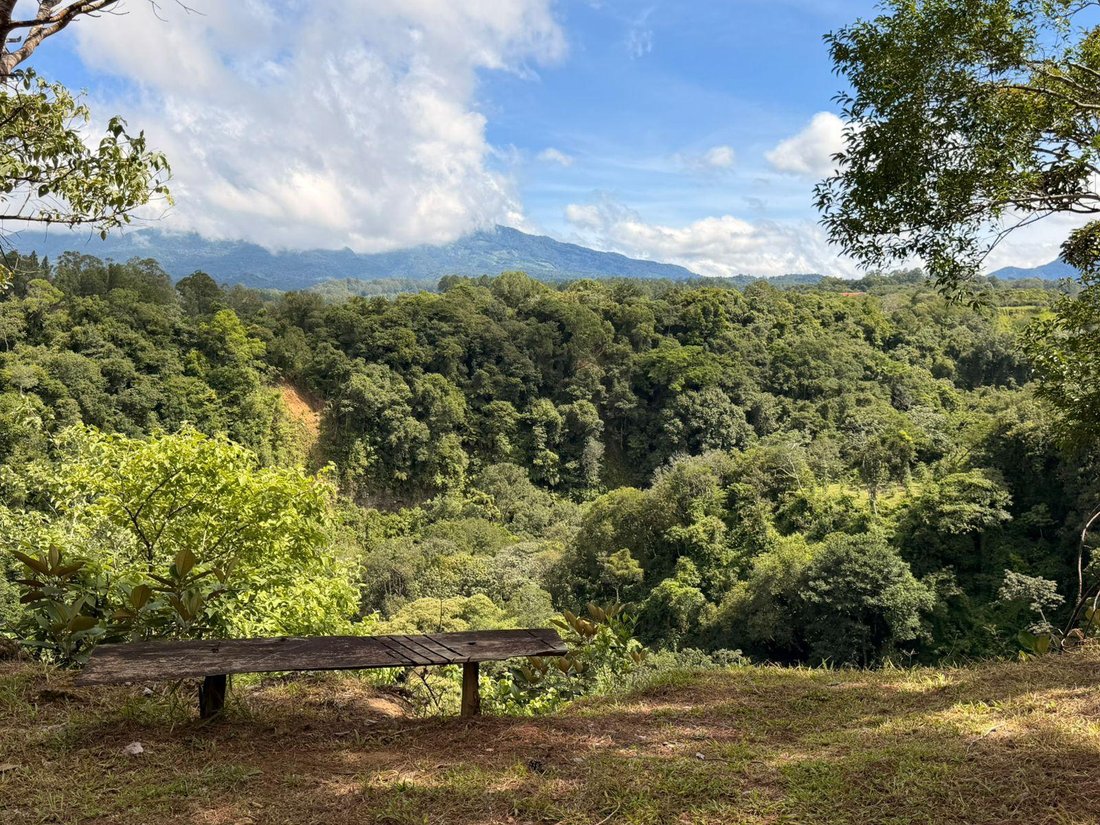 Land in Los Naranjos, Chiriquí Province, Panama 4 - 18643934