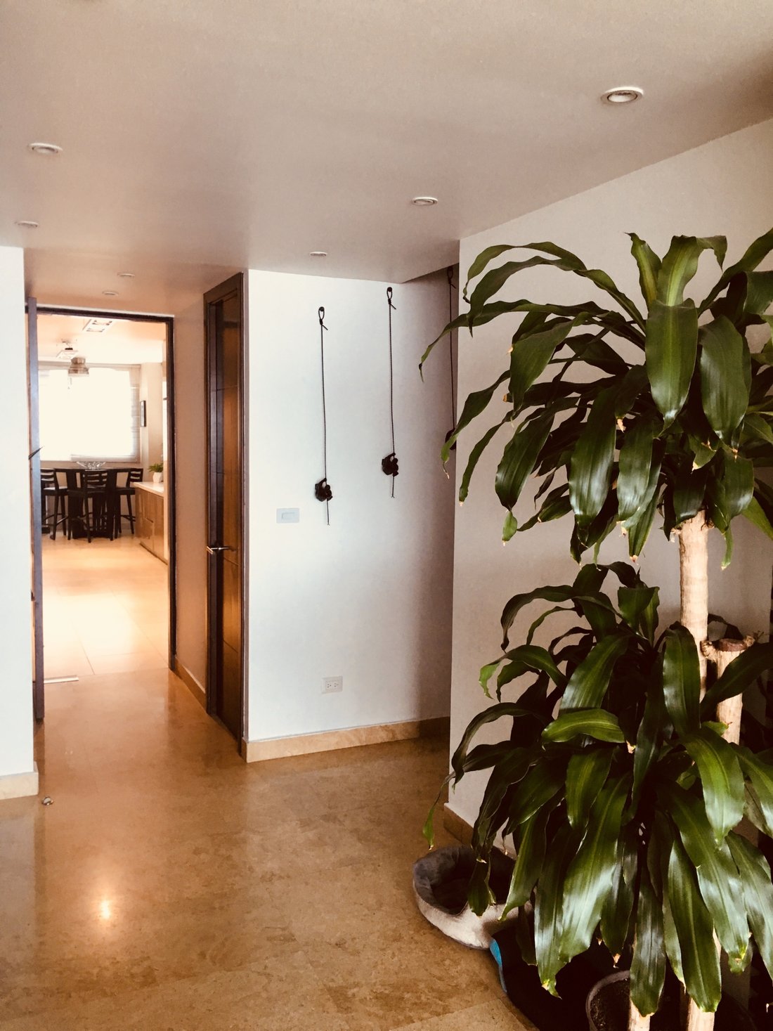 Apartment in Panama City, Panama, Panama 5 - 18643973