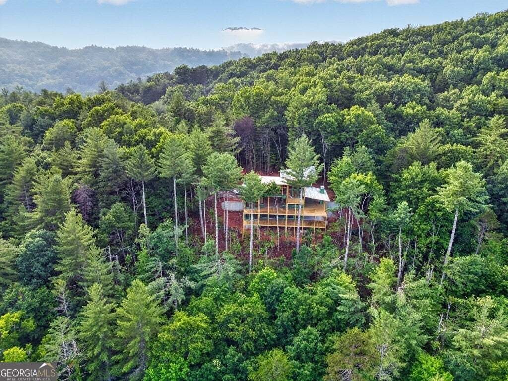 House in Blue Ridge, Georgia, United States 2 - 18643978