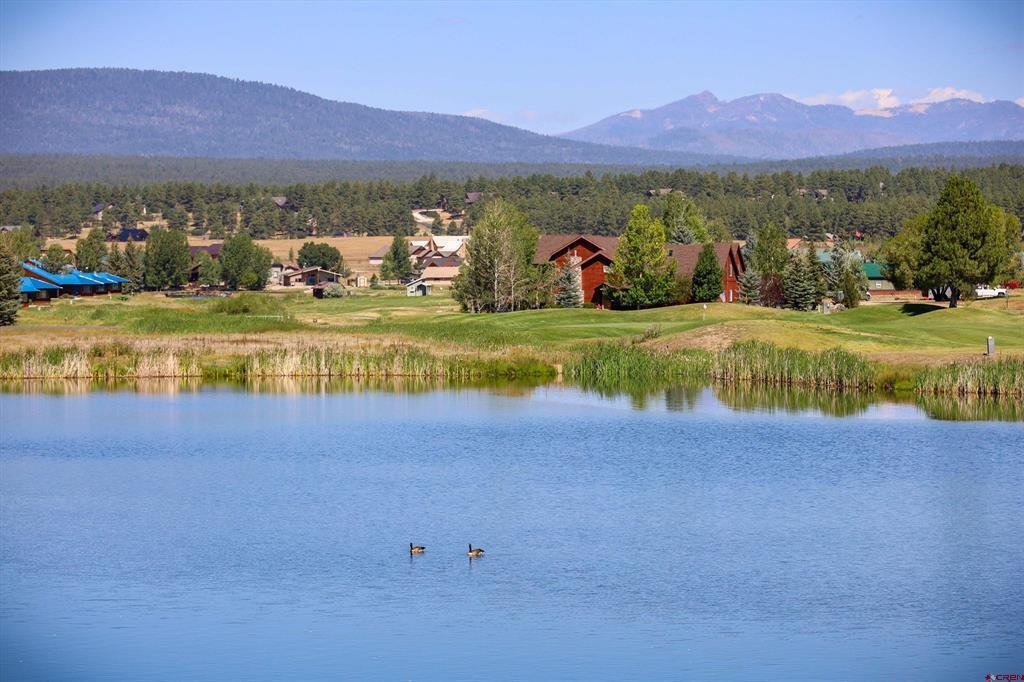 Townhouse in Pagosa Springs, Colorado, United States 4 - 18643332