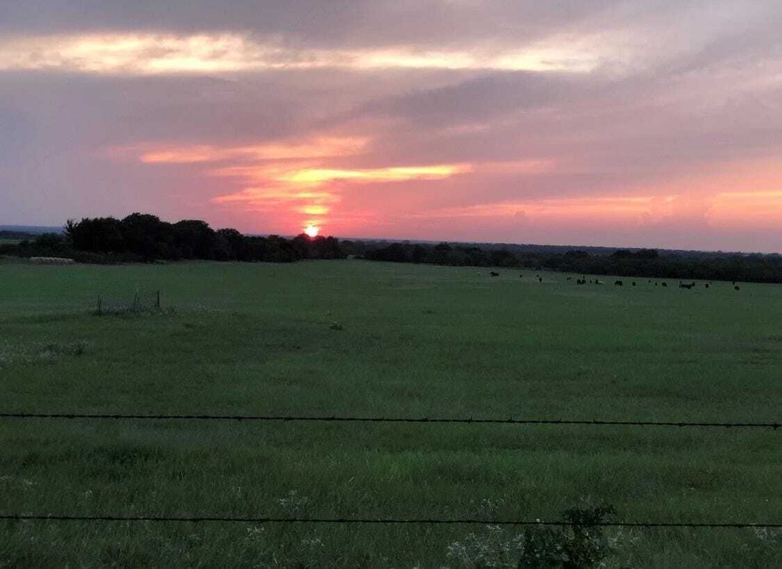 House in Dublin, Texas, United States 1 - 18346124
