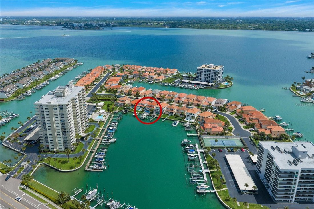 House in Clearwater, Florida, United States 5 - 18642853