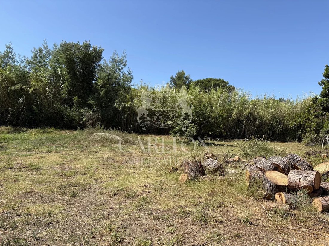 Land in Gassin, Provence-Alpes-Côte d'Azur, France 4 - 18643940