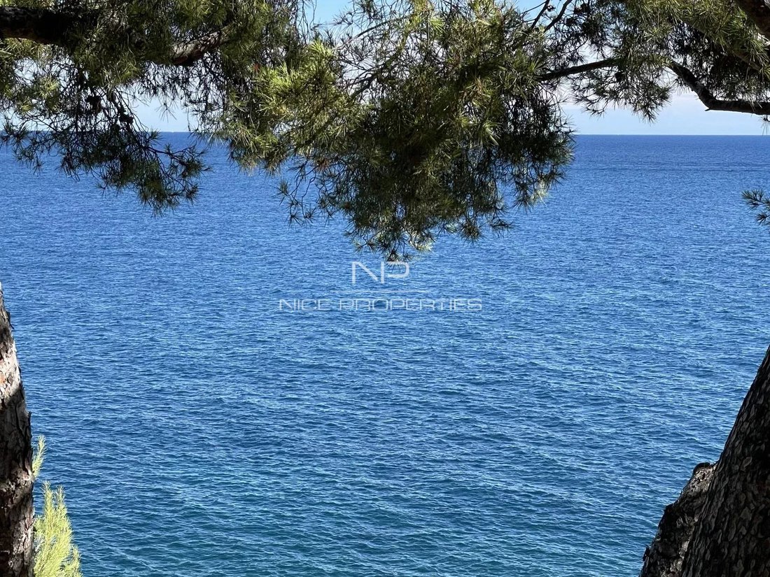 Villa in French Riviera, Provence-Alpes-Côte d'Azur, France 2 - 18647575