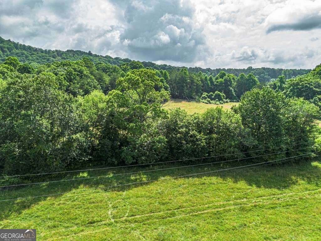 Land in Copperhill, Tennessee, United States 4 - 18644243
