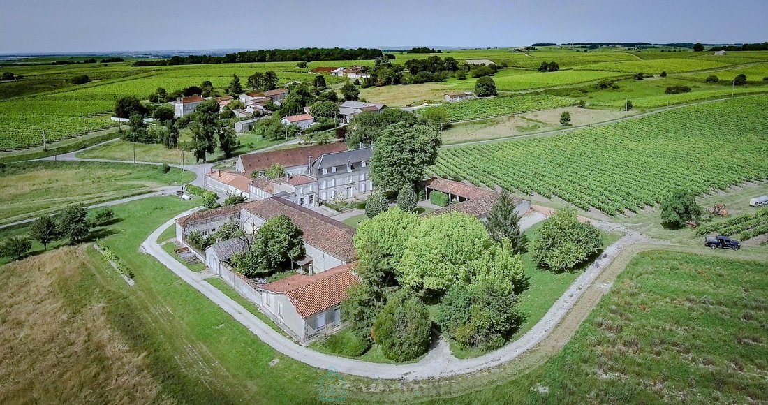 House in Segonzac, Nouvelle-Aquitaine, France 2 - 18647715