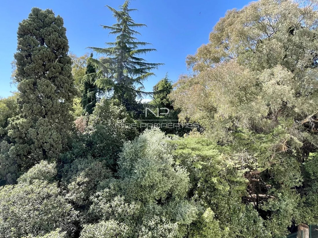 Apartment in Cannes, Provence-Alpes-Côte d'Azur, France 2 - 18647633