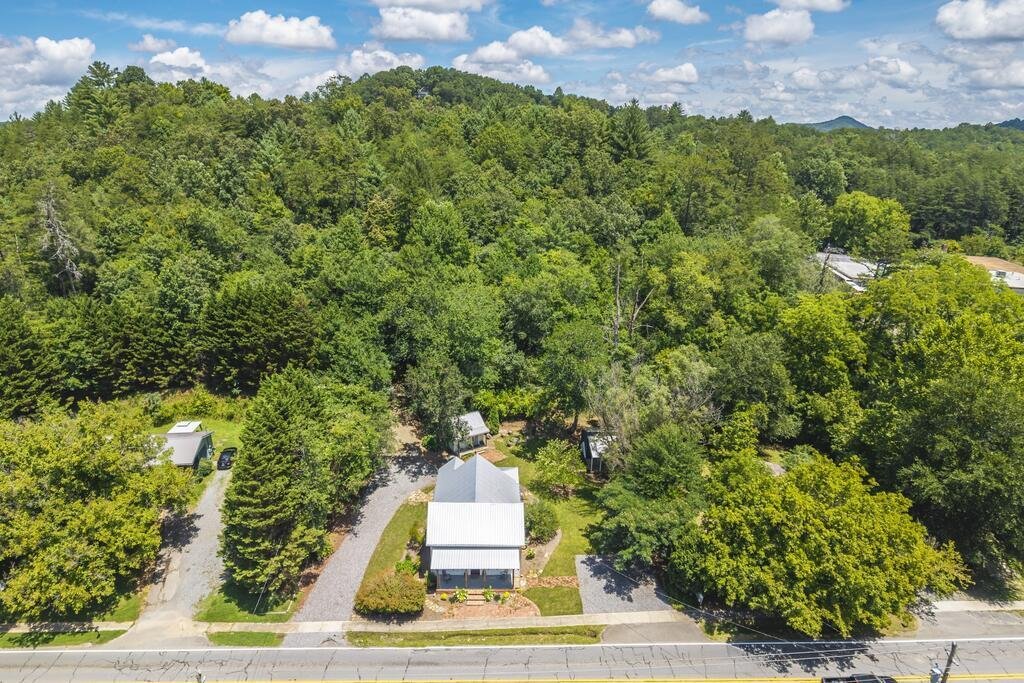 Mineral Bluff, Georgia, United States 3 - 18644310