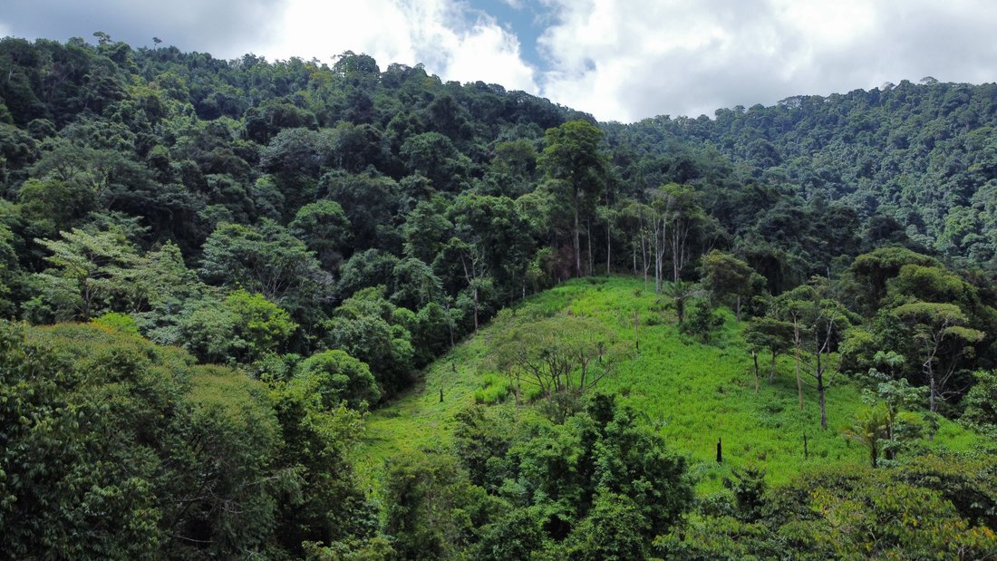 Land in Quepos, Puntarenas Province, Costa Rica 5 - 18646756