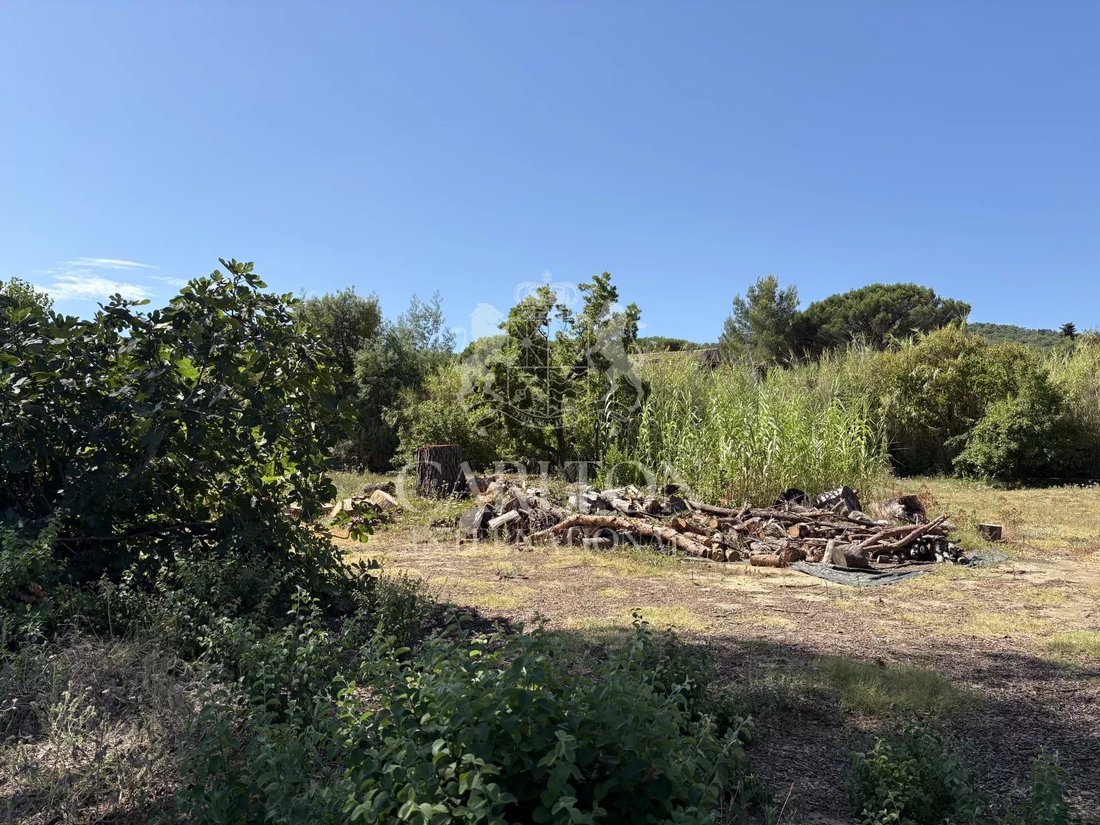 Land in Gassin, Provence-Alpes-Côte d'Azur, France 5 - 18643940