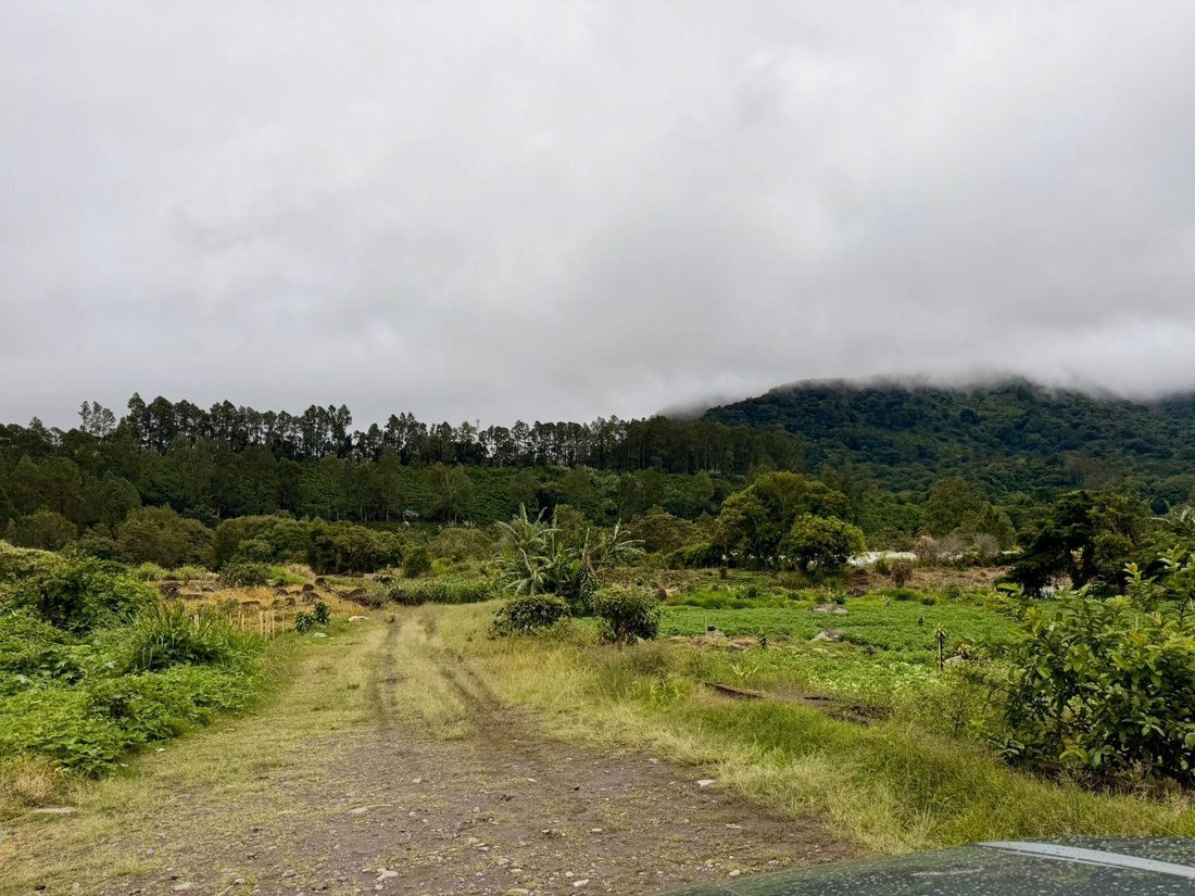 Land in Los Naranjos, Chiriquí Province, Panama 5 - 18644149