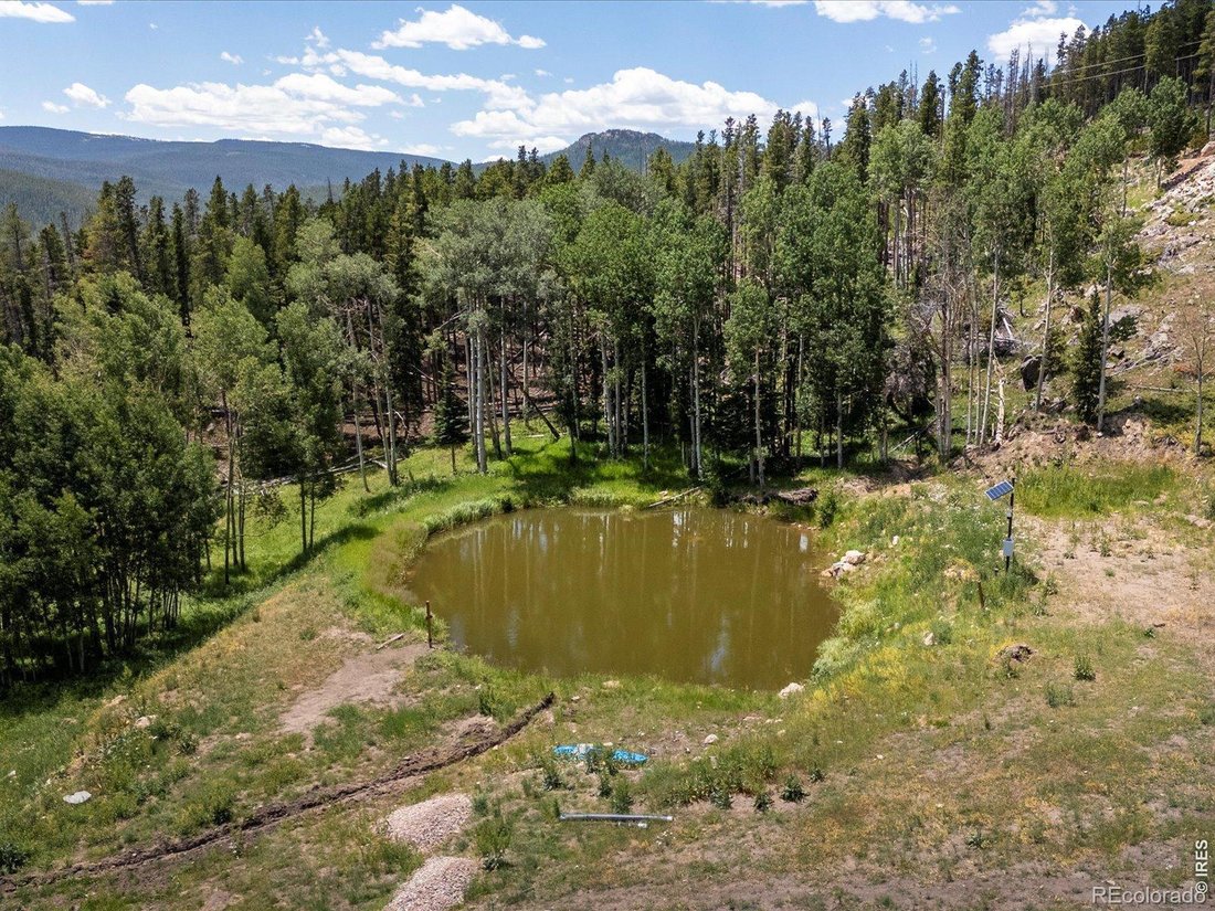 Haus in Red Feather Lakes, Colorado, Vereinigte Staaten 5 - 18645699