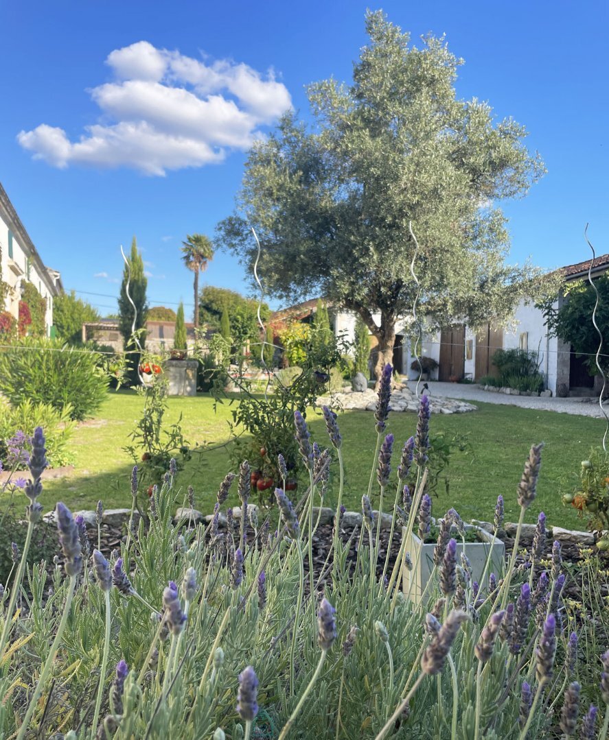 Estate in Cognac, Nouvelle-Aquitaine, France 5 - 18647709