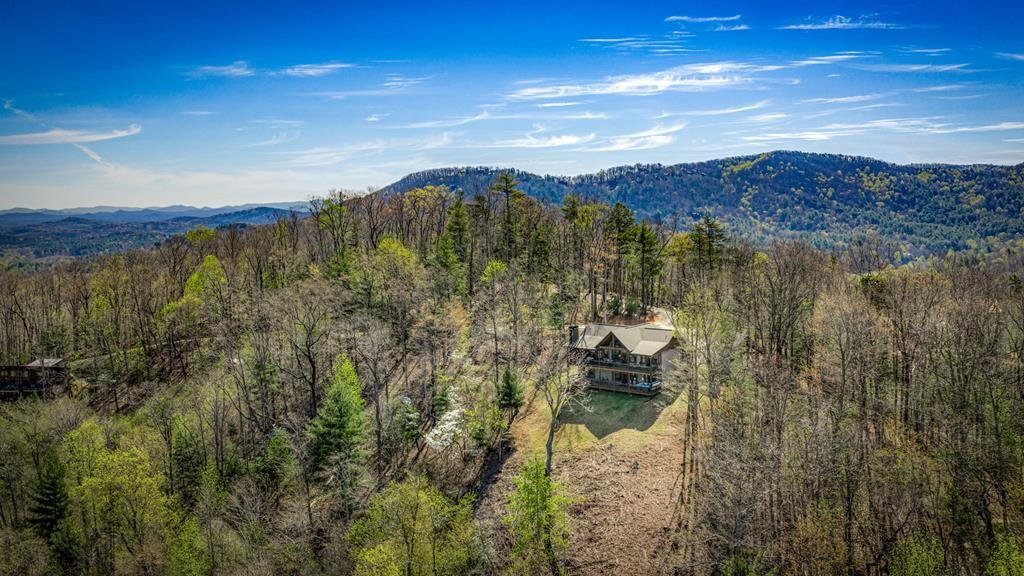 House in Blue Ridge, Georgia, United States 3 - 18644266