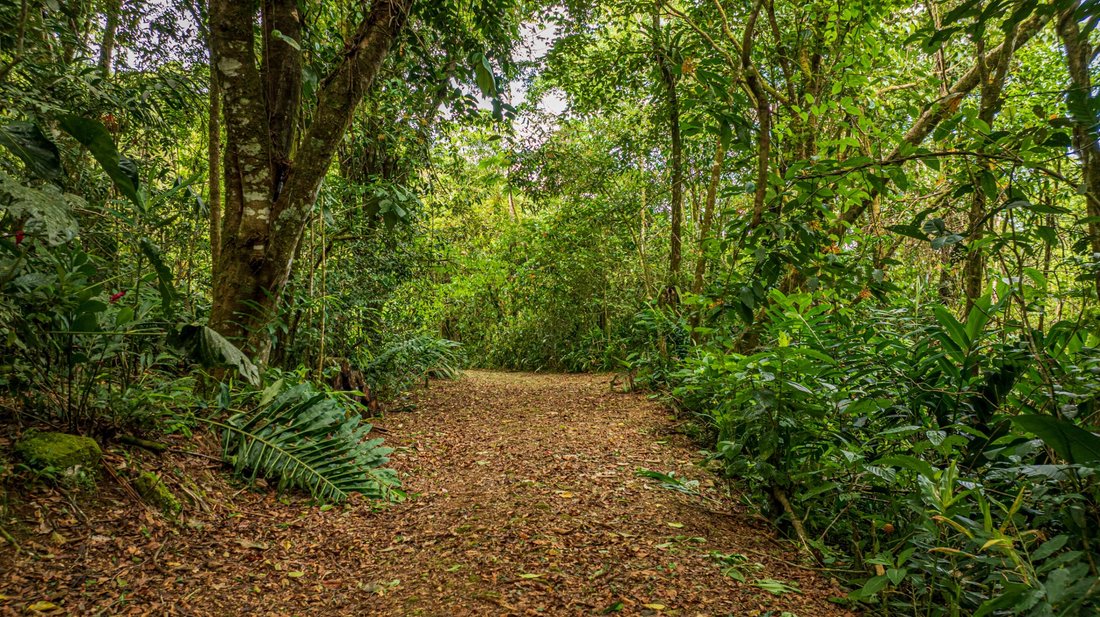 Land in Rivas, San José Province, Costa Rica 5 - 18133337