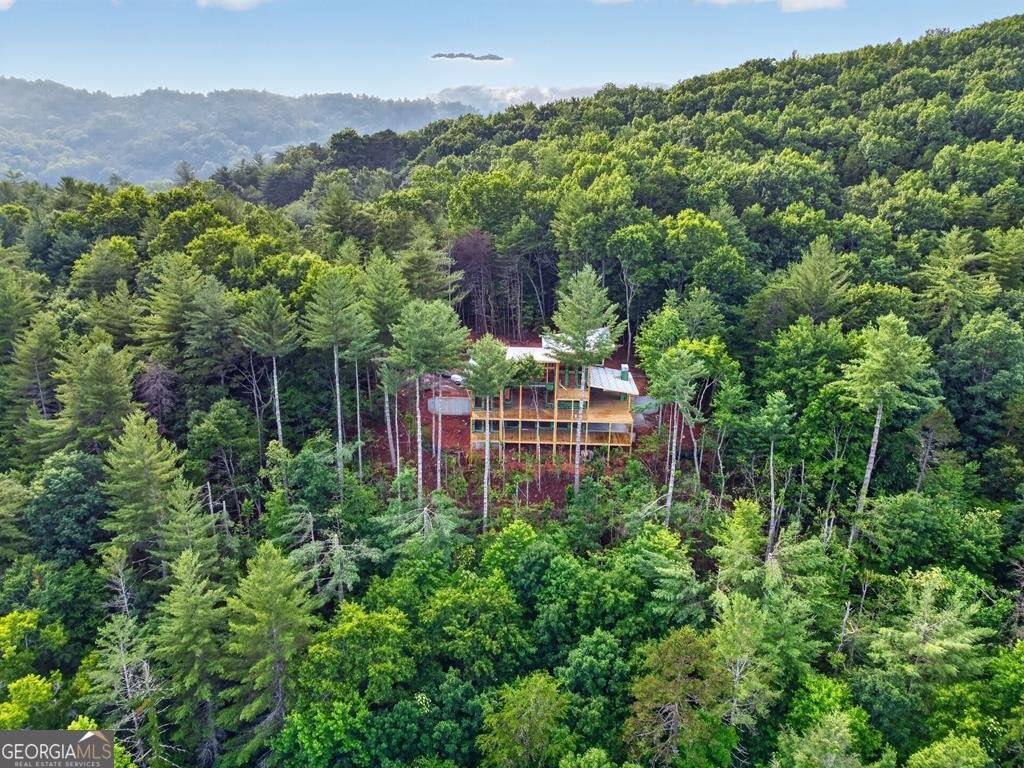 House in Blue Ridge, Georgia, United States 1 - 18643978