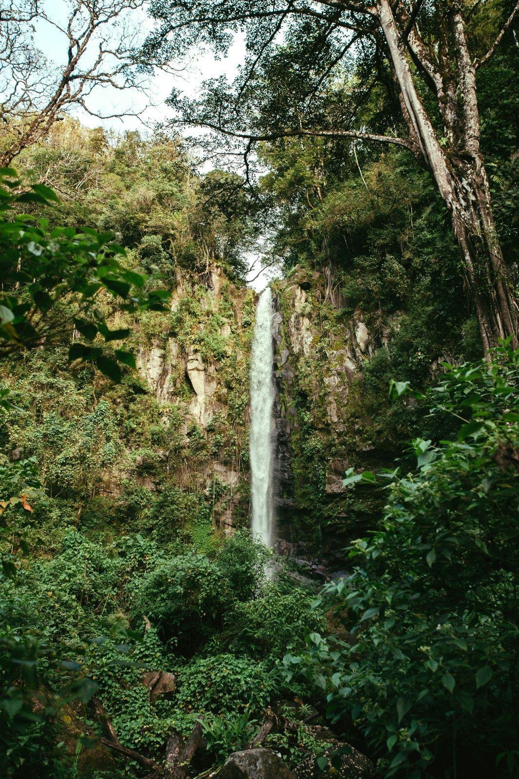 Land in Paso Ancho, Chiriquí Province, Panama 3 - 18644253