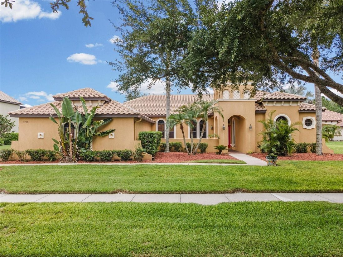 House in Land O' Lakes, Florida, United States 1 - 18642742