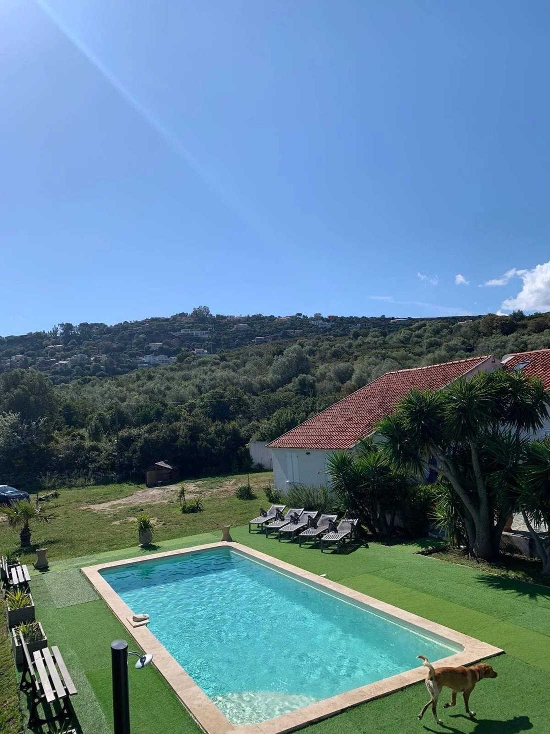 Villa in Saint-Florent, Corsica, France 4 - 16310301