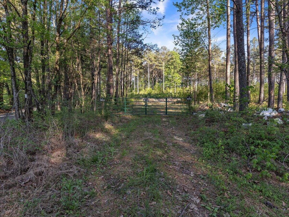 Land in Crandall, Georgia, United States 4 - 18646818