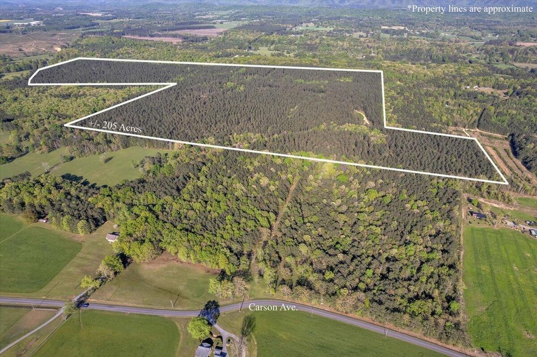 Land in Crandall, Georgia, United States 1 - 18646818