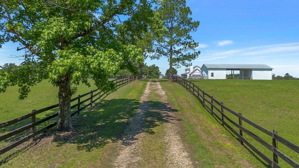 Chattahoochee, Florida, United States 2 - 18644987