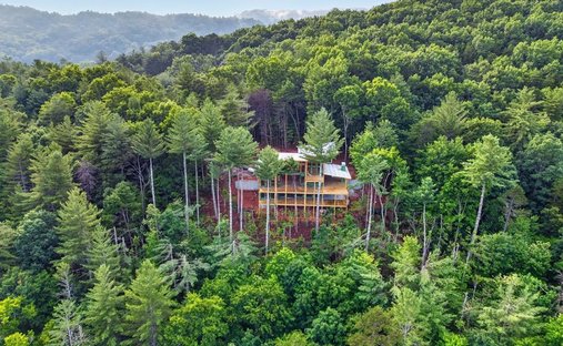 House in Cherry Log, Georgia, United States 1