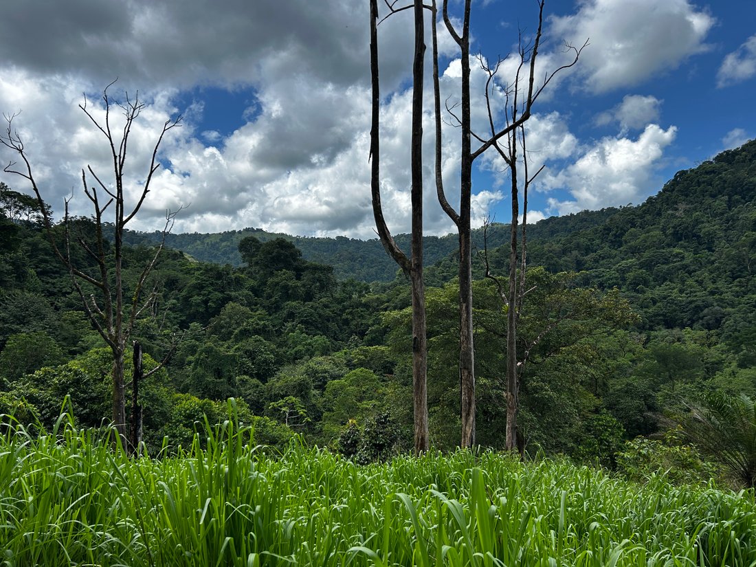 Land in Quepos, Puntarenas Province, Costa Rica 4 - 18646756