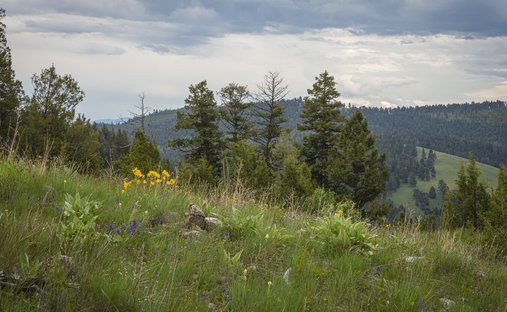 Terrain à Clinton, Montana, États-Unis 1