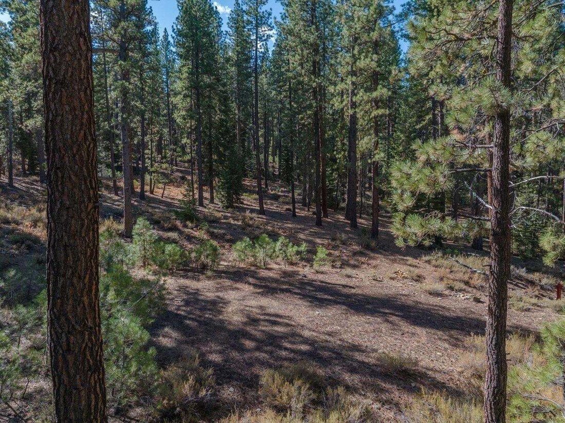 Land in Truckee, California, United States 4 - 14862327