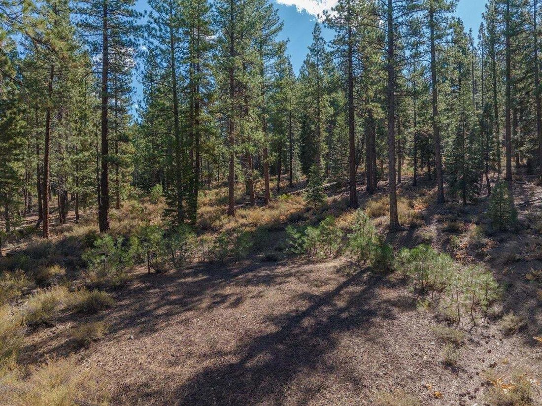 Land in Truckee, California, United States 4 - 14862324