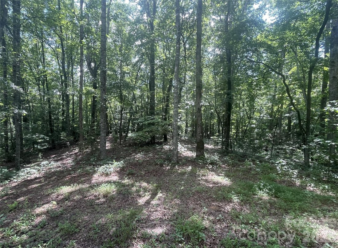 Land in Bryson City, North Carolina, United States 1 - 18646788