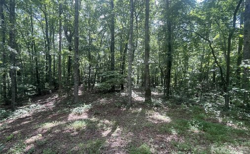 Land in Bryson City, North Carolina, United States 1