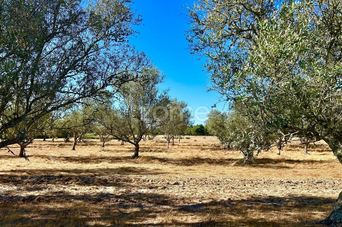 Land in Grandola e Santa Margarida da Serra, Setubal, Portugal 4 - 18647686