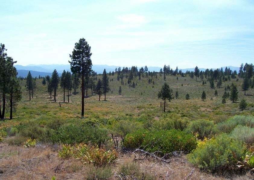 Land in Truckee, California, United States 3 - 18642653