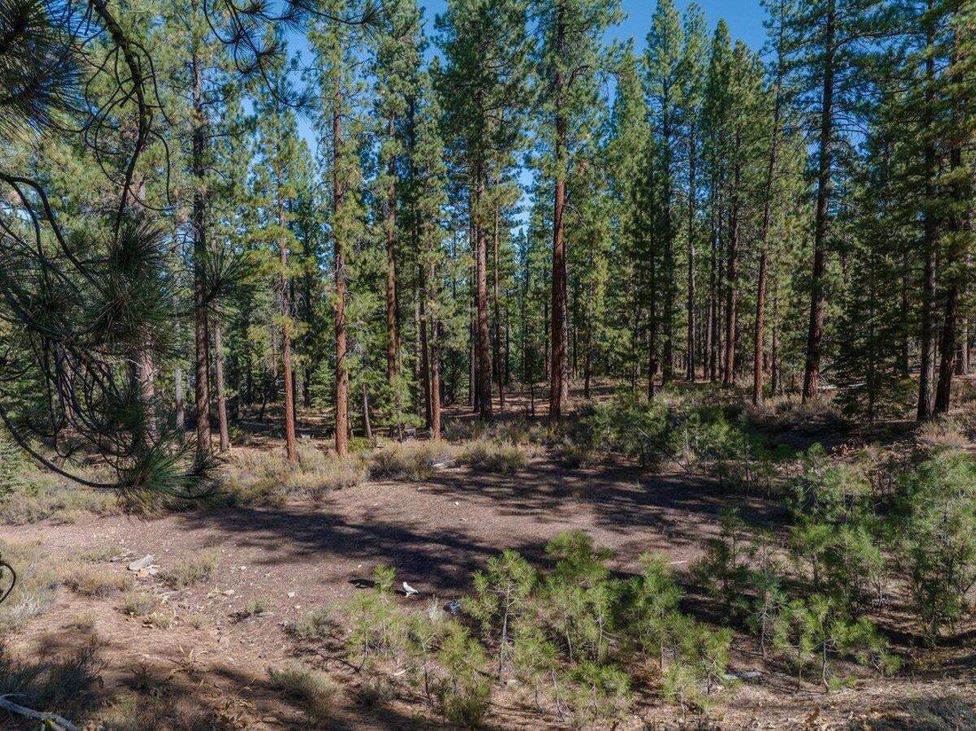 Land in Truckee, California, United States 3 - 14862325