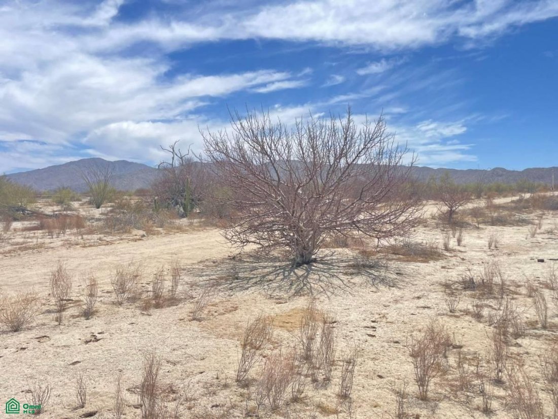 Terreno a Mexicali, Bassa California, Messico 5 - 18645641