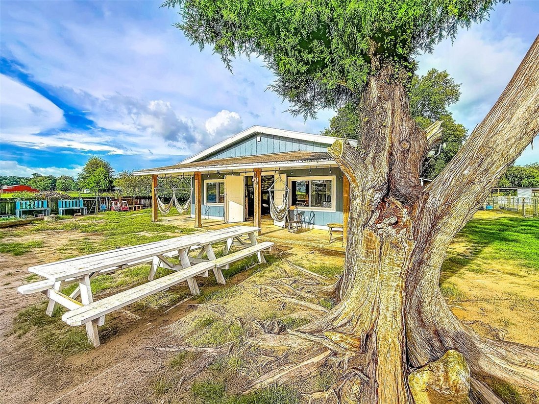 Farm Ranch in Dade City, Florida, United States 3 - 18648855