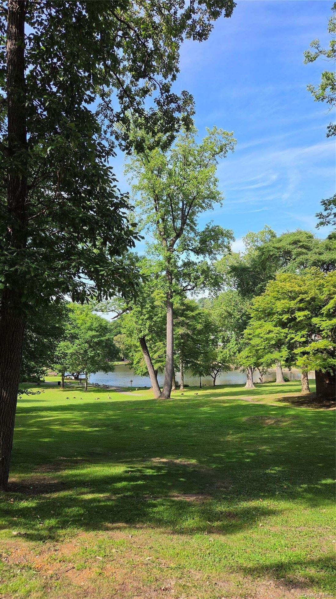 House in Roslyn, New York, United States 5 - 18649065