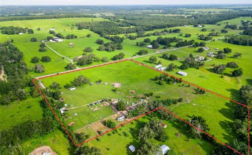 Farm Ranch in Dade City, Florida, United States 1