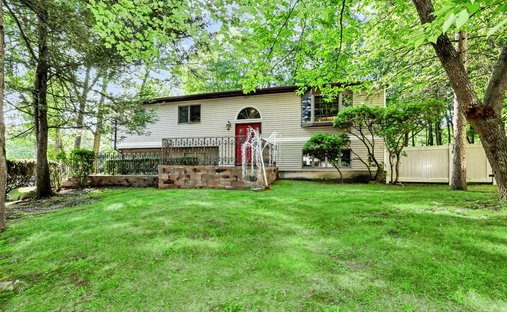 House in Spring Valley, New York, United States 1